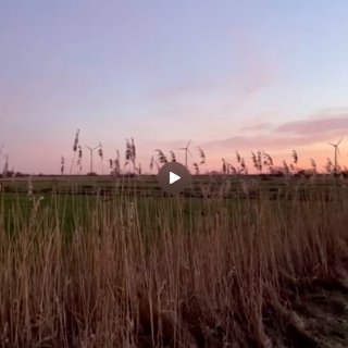 Sonnenaufgang an der Leke Januar