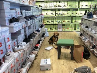 Ausflüge + Shoppen