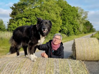 Actionhunde