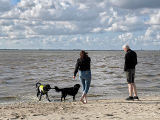 Hundefreizeit