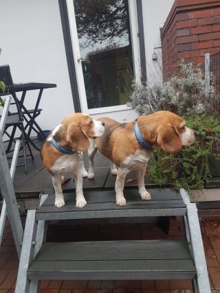 Einmal rechts