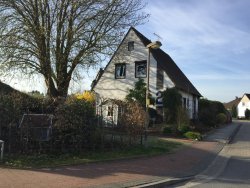 Alter Warf 2 im Frühjahr