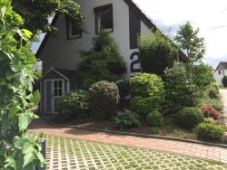 Stellplatz unter der Kastanie