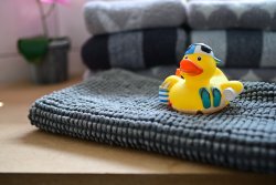 Enten auch