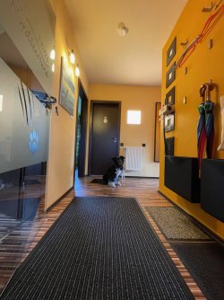 Flur mit Garderobe und Aila (verstorben 25.02.25)