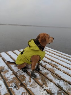 Cooper in Dangast