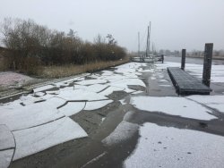 Schwimmen im Vareler Hafen