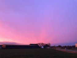 Sonnenaufgang über dem Hafen