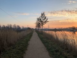 Sonnenaufgang Vareler Hafen