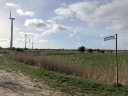 Hullenwiese und Neulandsweg
