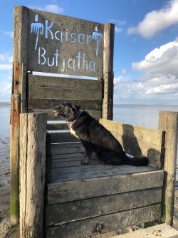 Aila in Dangast