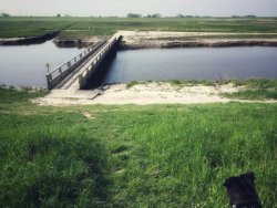 Langwarder Groden Butjadingen
