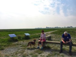 Langwarder Groden Butjadingen