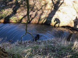 Mühlenteich mit Schattenfotograf