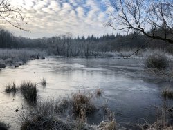 Mühlenteich im WInter