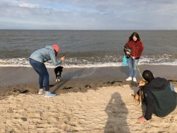 Strand von Schillig