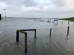 Hochwasser und Land unter