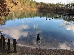 Waldsee Herrenneuen Herbst