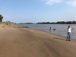Weserstrand Oberhammelwarden