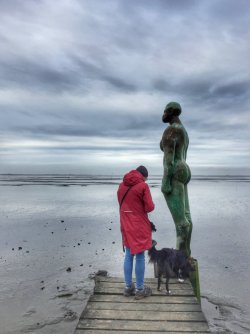 Drei Schönheiten im Watt (Dangast)