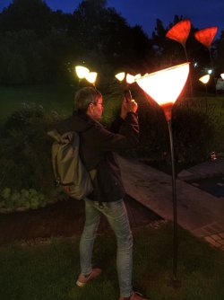 Wübke im Park der Gärten