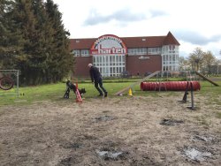 Agility auf dem Platz
