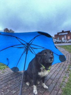Raindrops keep falling on my head