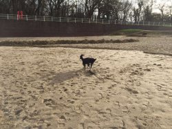 Nach einer Sturmflut - Spielzeug!