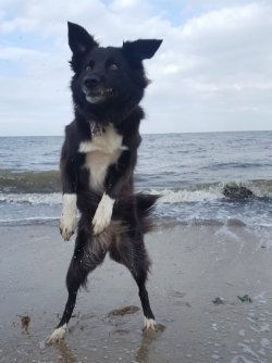 Aila tanzt am Strand