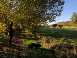 Goldener Oktober
