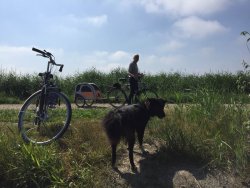 Radtouren sind klasse