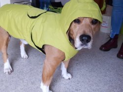 Gibt kein schlechtes Wetter