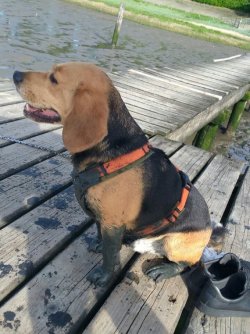 Cooper Dangast nachher