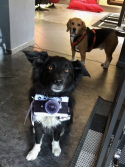 Unsere Fotografin: Aila