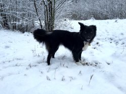 Schneemonster Aila