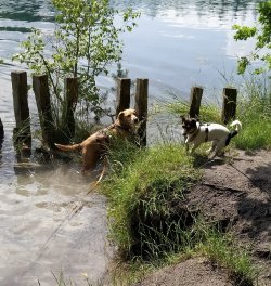 Max und Lotti 06.2023