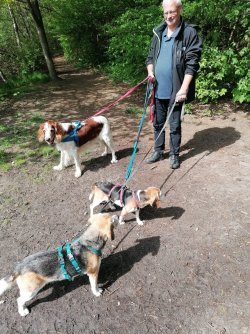 Luna, Pepsi, Chaya und Jens - 05.22