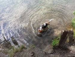 Maxi am Waldsee