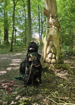 Tali und Lexi 07.2025