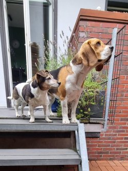 Wanda und Leo 08.2023