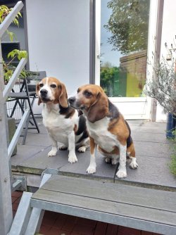 Lui und Caspar 09.2023