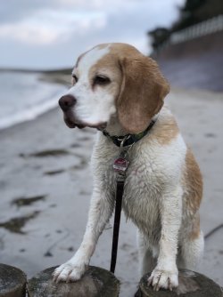 Ruby - 12.19