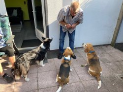 Nixe, Pauli und Mogli 08.2025