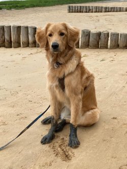 Ronja mit Gummistiefeln - 07.21