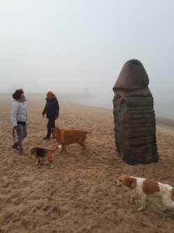 Lexie und Mandy (und Willi) - 01.20