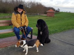 Rudi, Paul und Bella - 12.19