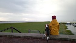 Monty und Jasmin - 08.20