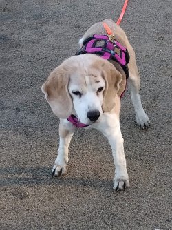 Penny ist schon über 15 und auch wieder dabei - 09.21